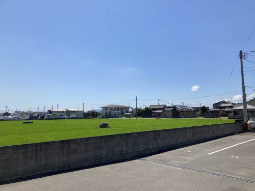 シャーメゾンエチュード　Ｄ棟 D0110号-12