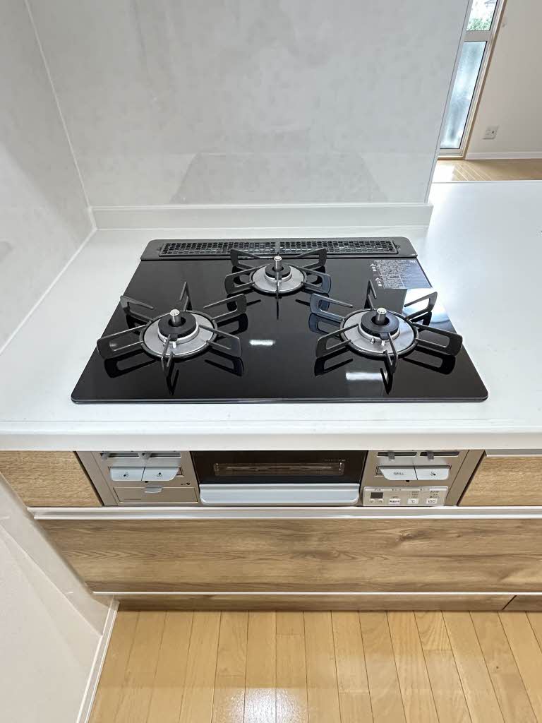 ハイネス国府　Ｂ棟 B0205号-4