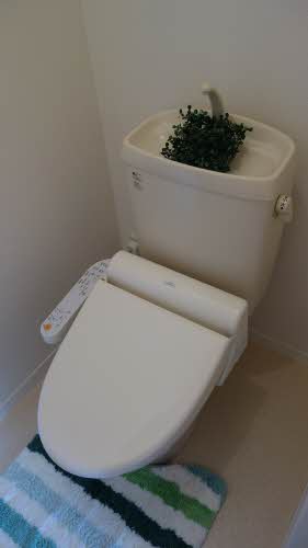 フレグランス沖洲　Ⅱ番館 B0205号-7