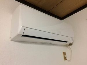 フレグランスビバ A0101号-5