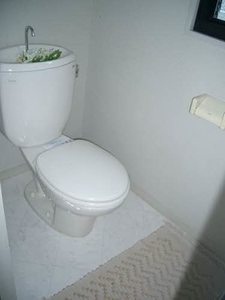 フローラルＳ A0202号-6