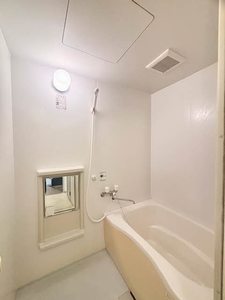 サンフォーレス　Ａ棟 A0202号-6