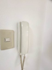 サンフォーレス　Ａ棟 A0202号-9