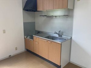 ニュー・アンシャンテ A0102号-3