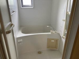 ニュー・アンシャンテ A0102号-6