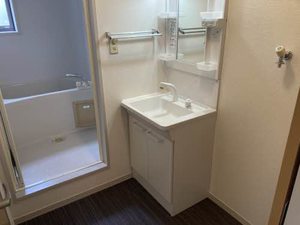 ニュー・アンシャンテ A0102号-8