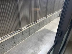 ニュー・アンシャンテ A0102号-11