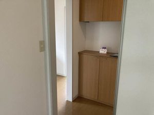 ニュー・アンシャンテ A0102号-14