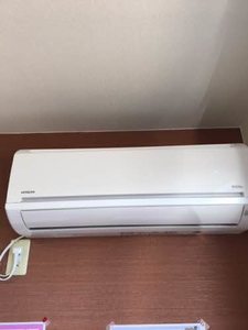 プリムローズ A0103号-13