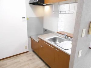 レインボー　Ｋ A0101号-5