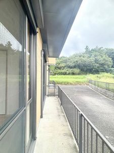 アン・シャーリー Ⅱ B0102号-11