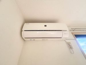 アン・シャーリー Ⅱ B0201号-8