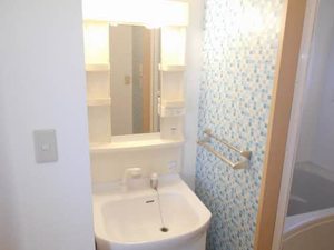 サンパティーク　ロジュマン　Ⅱ B0102号-9