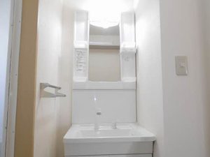 サンパティーク　ロジュマン　Ⅱ B0201号-8