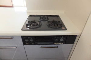 シャーメゾン・ヴェルデ B棟 B0101号-5