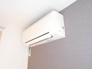 シャイン A0201号-13