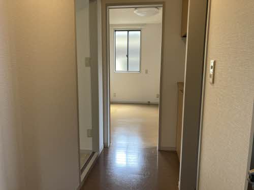 ニュー・アンシャンテ A0102号-9