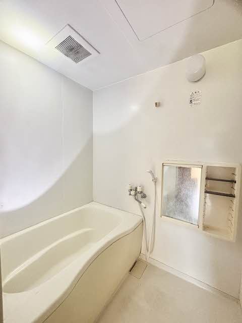 アン・シャーリー Ⅱ B0201号-7