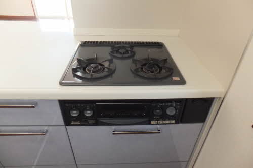 シャーメゾン・ヴェルデ B棟 B0101号-5