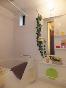 グランディアス　弐番館 B0101号-2