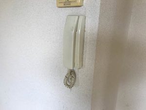 フジハイム A0201号-12