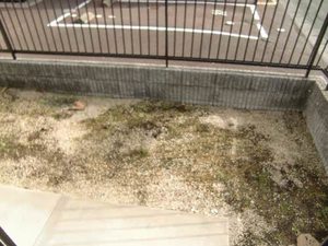 ディアスタウン B棟 B0102号-9