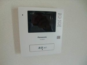 ディアスタウン　Ｃ棟 C0202号-14