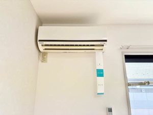 ディアスタウン D棟 D0201号-8