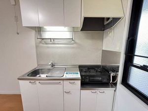 ディアスタウン　Ｅ棟 E0101号-3