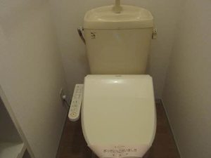 アンジュウ デヤ B棟 B0202号-5
