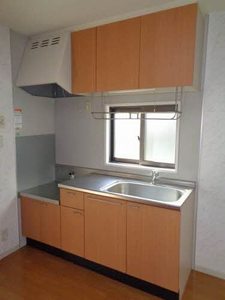 ドミールA A0102号-3