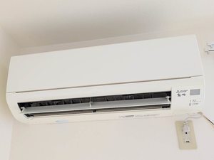 メゾン　ド　ウィステリア　Ａ棟 A0201号-9