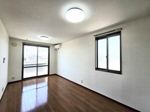 ディアナパレス　Ａ館 A0201号-2