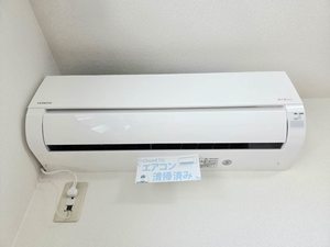 ディアナパレス　Ａ館 A0201号-10