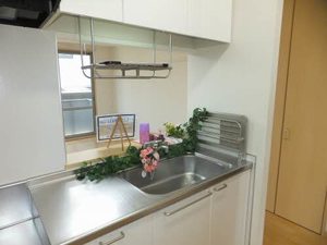 メゾンスカイヒルズ　Ｊ棟 J0119号-13