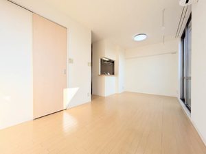 ドゥ・ルミエール A0101号-2