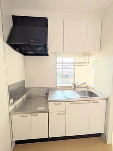 ドゥ・ルミエール A0101号-3