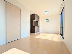 ドゥ・ルミエール A0205号-2