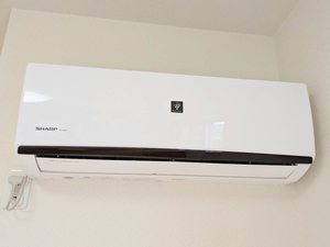 シャーメゾン　ラ　ローズ　Ａ棟 A0202号-10