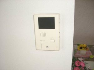 ツインテラス　Ｂ棟 B0201号-9