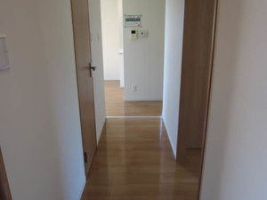 メゾン コンフォート A棟 A0201号-3