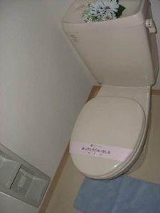 シャンティ11 A0201号-5