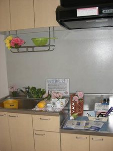 シャンティ11 A0201号-6