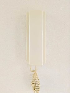 グリシーヌ B棟 B0101号-9