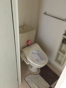 アプリコット A0203号-3