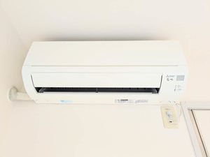アプリコット A0203号-10