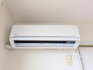 シャーメゾン権代 A0201号-10