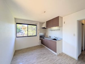 レーヴィンスＫＡＳＥＮ　香 A0201号-2