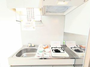 メゾングレイス A0102号-3