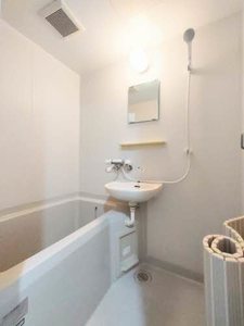 メゾングレイス A0105号-4